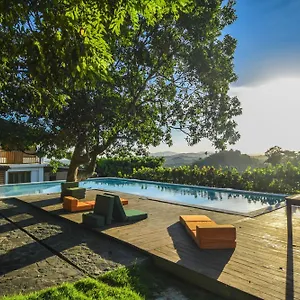 https://clave-verde-ecolodge.comcaribbean.com